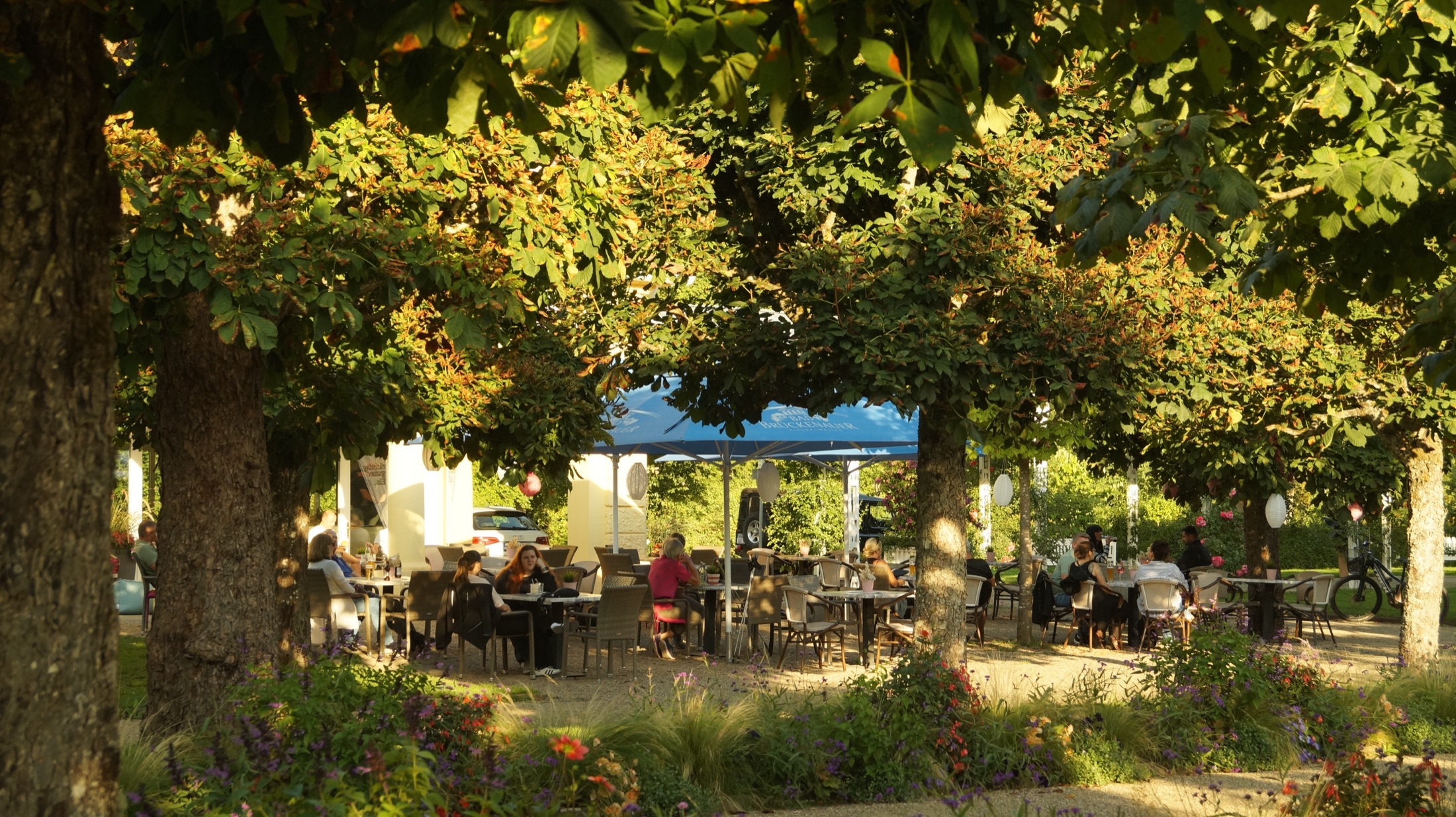 Gäste feiern abends auf der Terrasse unter Kastanienbäumen